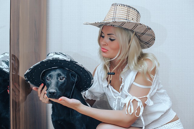 Conseils pour voyager avec des animaux en toute sérénité