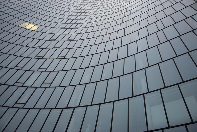 développer une culture d'entreprise forte dès le début